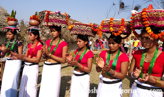 थारु संग्राहलयके लाग ५ लाख बजेट