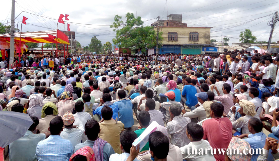 आन्दोलन ब्युँताउन थरुहट थारुवानको कञ्चनपुरमा आज बृहत आमसभा