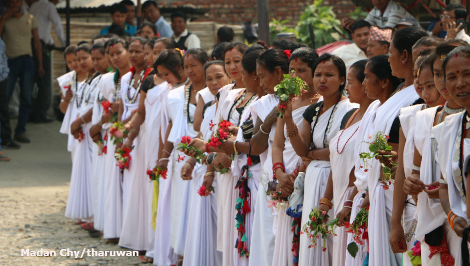 India-Nepal Tharu Vela 04