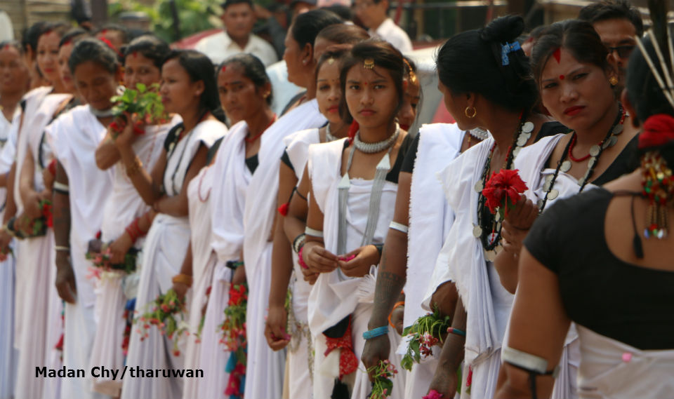 India-Nepal Tharu Vela 05