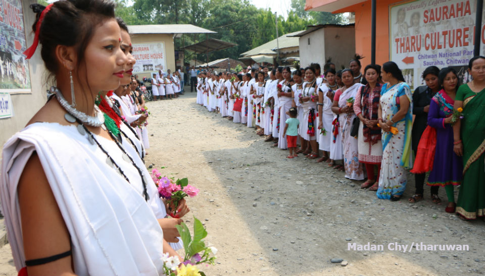 India-Nepal Tharu Vela 06