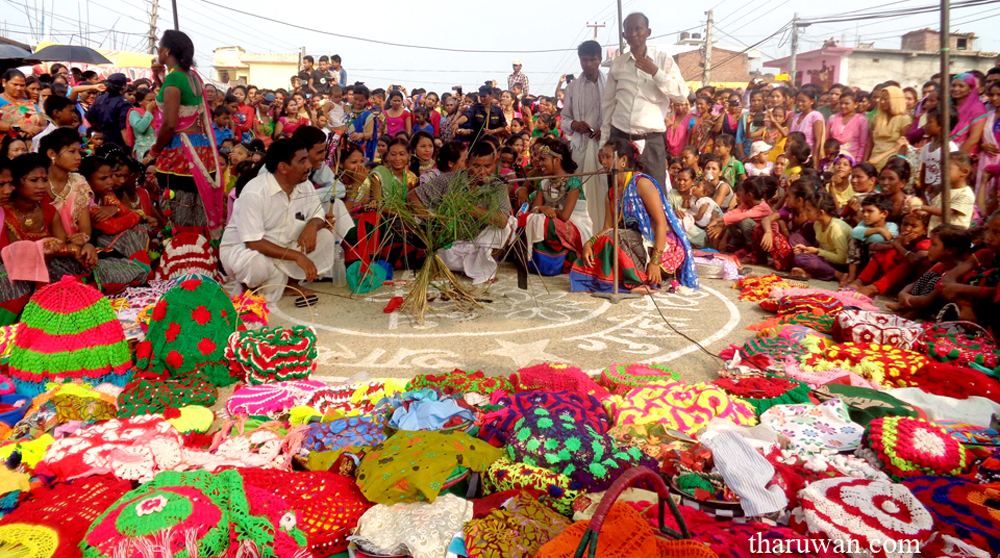 थारु समुदायको गुरिया (गुरही) पर्व