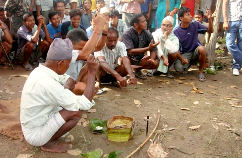 धनगढीमा हरेरी महोत्सवको तयारी हुँदै