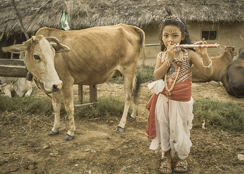 आज श्रीकृष्ण जन्माष्टमी, थारुहरुले अष्टिम्की मनाउँदै