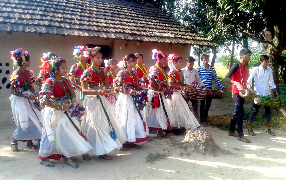 नाचसहित टीका थाप्न थारु समुदाय वडघरमा