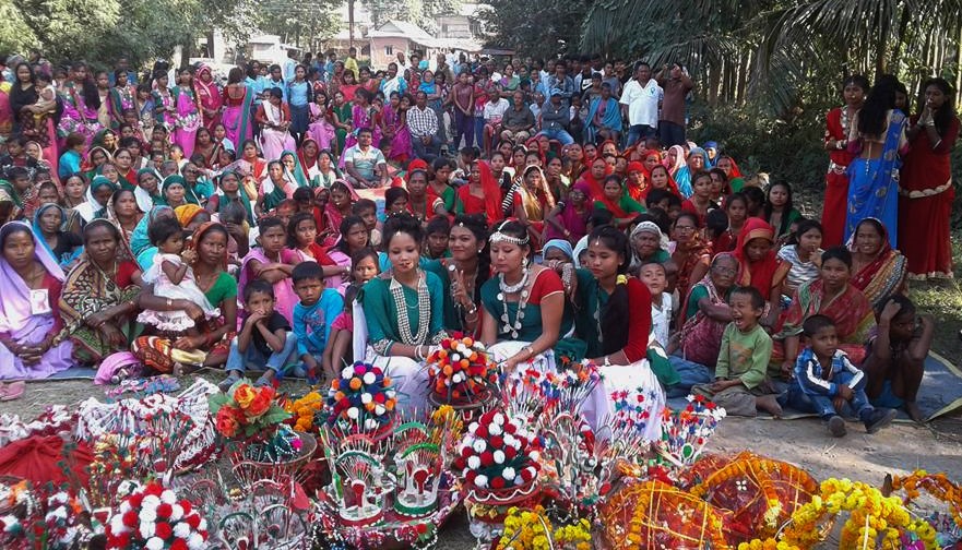 सुनसरीको बल्हामा समाचकेवा बिसर्जन