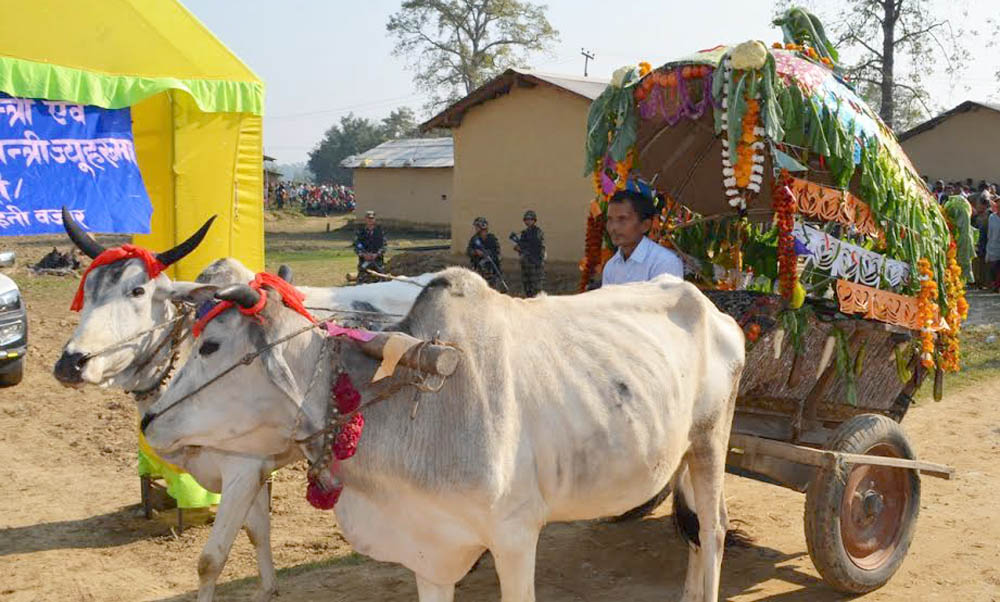 प्रधानमन्त्रीलाई लहरुमा डुलाउने रहर पूरा भएन