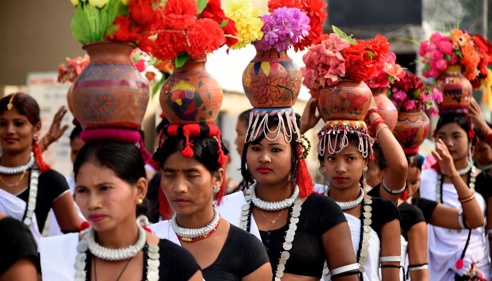 सौराहाको हात्ती महोत्सव र थारु महिला [फोटो फिचर]