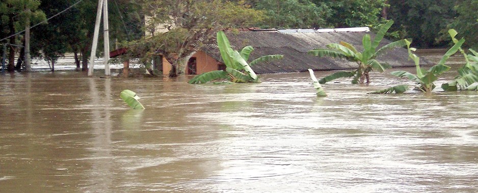 रत्ननगरको बन्सी टोलमा कयर खोला पस्यो, ४० घर डुबानमा