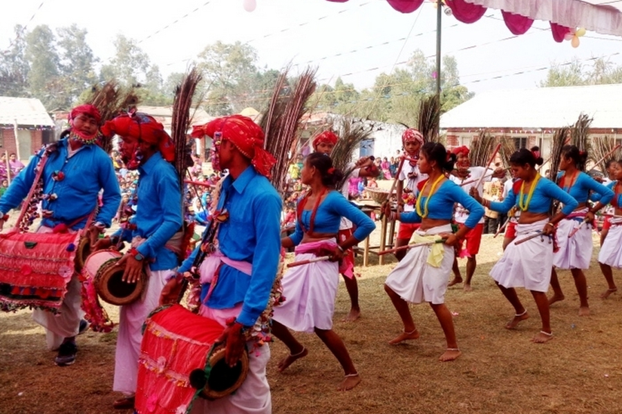 संस्कृति जोगाउन अग्रसर हुँदै थारू युवा