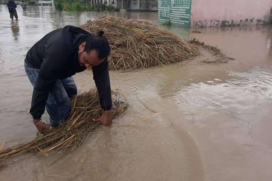 बर्दियाको राजापुर र गेरुवा क्षेत्र डुबानमा, किसानलाई राहत दिने घोषणा