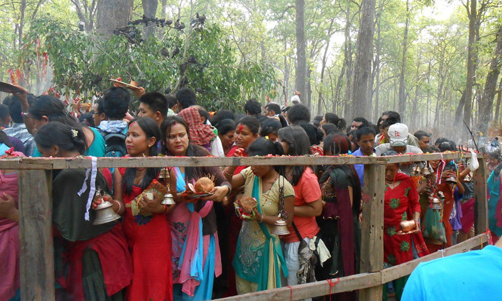 थारू जातिको इतिहाससँग जोडिएको विक्रमबाबा मेला सुरु