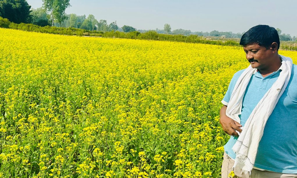 राजनीतिसँगै कृषिकर्ममा पूर्वप्रमुख हरिनारायण चौधरी