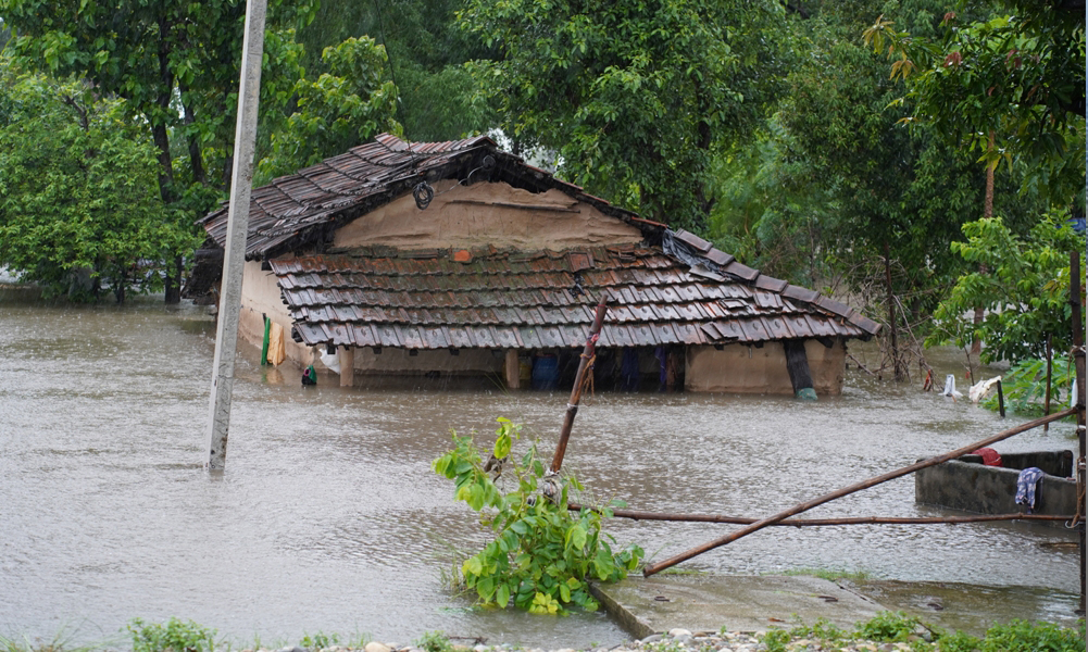 कैलालीका थारू गाउँमा बाढी, जनजीवन कष्टकर